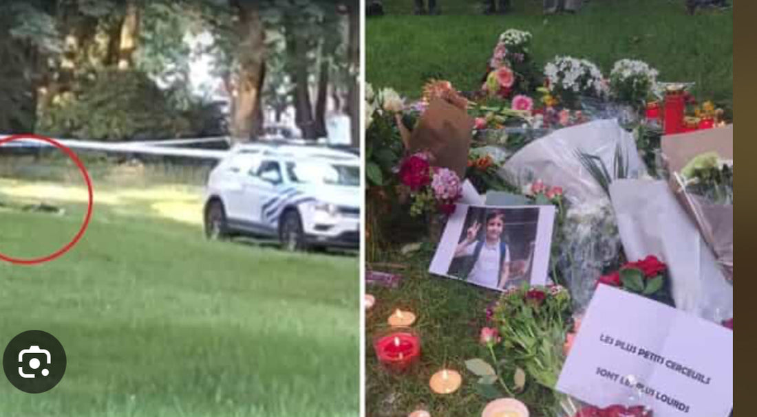 Qu'est-il arrivé au petit Fabian, 11 ans, décédé après une course poursuite avec la police